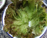 Foto del paso 1 de la receta: Ensalada otoñal con granada y brotes de lombarda