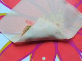 Tuna Spring Rolls