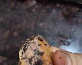 A picture of step 2 of Biscuit ice-cream sandwich.