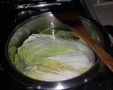 Foto langkah ke 3 dari resep Cabbage and soybean soup (Baechu doenjang Guk).