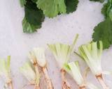 Basic Congee (Chinese Porridge) recipe step 1 photo