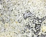 A picture of step 4 of Mirza ghademi(an iranian food/).