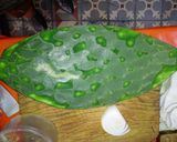 Foto del paso 1 de la receta: Nopal Gigante relleno al horno a la Mario, s