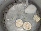 Caldo de guías