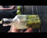 Infused Oil (Citrus Base)