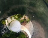 A picture of step 1 of Mint Margarita.