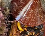 Une image de l'étape 8 de 🥣Tajine 🥩au pruneaux 🍯cuisiné Algérienne #ramadan.