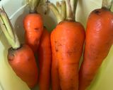 A picture of step 1 of Carrot salad.