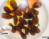 Foto del paso 1 de la receta: Magdalenas de cacao y calabacín