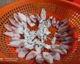 Hình bước làm 1 của món Mực tươi kho keo