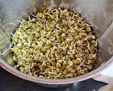 स्प्राउट मूंग डोसा (Sprout Moong Dosa recipe in Hindi) रेसिपी चरण 1 फोटो
