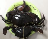 Foto langkah ke 1 dari resep Kepiting Saus Padang.