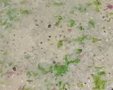 A picture of step 3 of Instant Jowar Dosa.