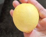 हिरव्या मिरचीची भाजी (hirvya mirchi bhaji recipe in marathi) रेसिपी स्टेप 2 फोटो 