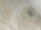 Bolu Tape