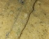 A picture of step 6 of Cheese and chicken sticks.