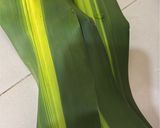 Foto langkah ke 1 dari resep Bakcang Ketan.