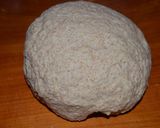 Foto del paso 2 de la receta: Bollo de harina integral