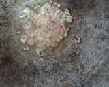 Foto langkah ke 4 dari resep Sup kepala gurame.