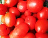 A picture of step 1 of Tomatoes chilli garlic sauce.