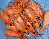 Foto del paso 3 de la receta: Ensalada de langostinos y hojas de roble