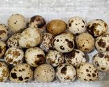 Foto langkah ke 1 dari resep Batik Polkadot Telur Puyuh.