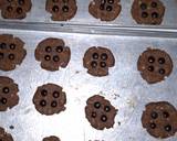 ChocoOatmeal Cookies