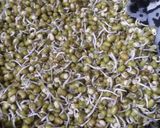 स्वास्थ्यवर्धक चटपटीत मूग चाट (moong chat recipe in marathi) रेसिपी स्टेप 2 फोटो 