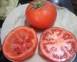 Foto del paso 1 de la receta: Tomates rellenos al horno