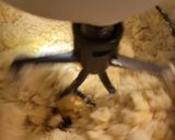 Foto del paso 2 de la receta: Galletas delicia de frambuesa