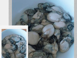 Mì HÀU sữa