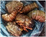A picture of step 2 of Lobsters Curry.