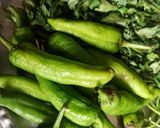 લીલા મરચા ની ચટણી(Green chilli chatney recipe in Gujarati) રેસીપી સ્ટેપ1ફોટો