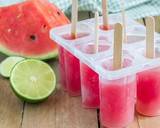 Homemade watermelon popsicles recipe step 3 photo