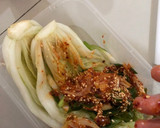 Foto langkah ke 3 dari resep KIMCHI LOBAK DAN SAWI mudah BY irre_desirre.