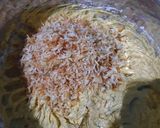 Foto langkah ke 2 dari resep Garlic Cheese Cookies.