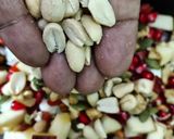 अनार स्प्राउट्स एवं नट्स - सीड्स पावर सलाद रेसिपी चरण 4 फोटो
