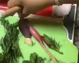 Une image de l'étape 6 de Calamars 🦑 au festival des herbes 🌿 aromatiques🧜 à la marseillaise.