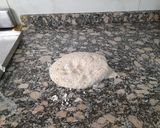 Foto del paso 5 de la receta: Pan tipo Goldstein (Rye Bread o pan gris) pan de centeno