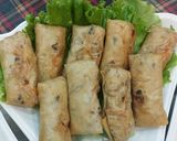 A picture of step 5 of Vegetarian Spring Rolls.