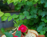 عکس مرحله 3 از دستور کیک گردویی
