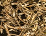 Hình bước làm 2 của món Cá cơm khô và miso