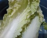 Foto langkah ke 1 dari resep Kuo Tie (Chinese Dumpling) modif resep.