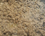 A picture of step 4 of Stroganoff, my way.