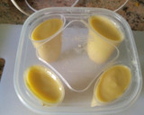 Foto del paso 4 de la receta: Helados de mango y leche condensada. Especial para niños