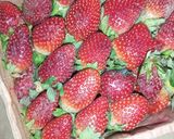A picture of step 1 of Starwberry shake.
