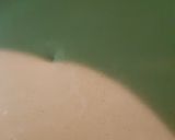 Foto del paso 2 de la receta: Bizcochuelo marmolado