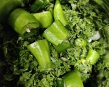 લીલા લસણ ની ચટણી (Green Garlic Chutney Recipe In Gujarati) રેસીપી સ્ટેપ1ફોટો
