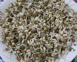 স্প্রাউট কারী (Sprouts curry recipe in Bengali) রেসিপির ধাপ 1 ছবি