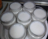 Foto del paso 4 de la receta: Yogur casero con leche de coco